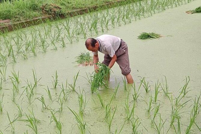 Sanjiang Chengyang Dong Village Private Day Tour From Guilin or Yangshuo - Detailed Breakdown of the Itinerary