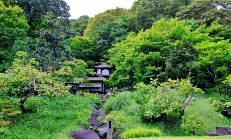 sankeien-garden-private-walking-tour-with-local-expert