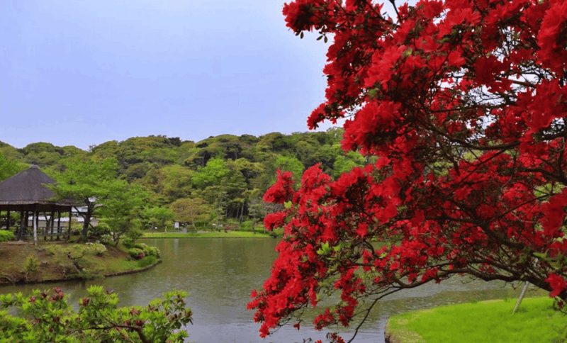 sankeien-garden-private-walking-tour-with-local-expert