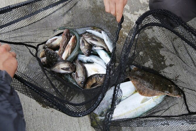sanriku-geopark-fishing-industry-field-trip