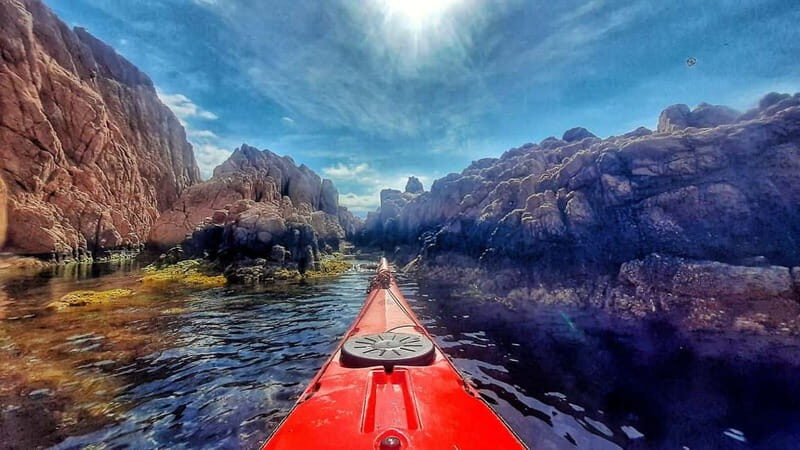Sant Feliu de Guíxols - Costa Brava: Morning Sea Kayak Tour - Authentic Reviews: What Real Participants Say