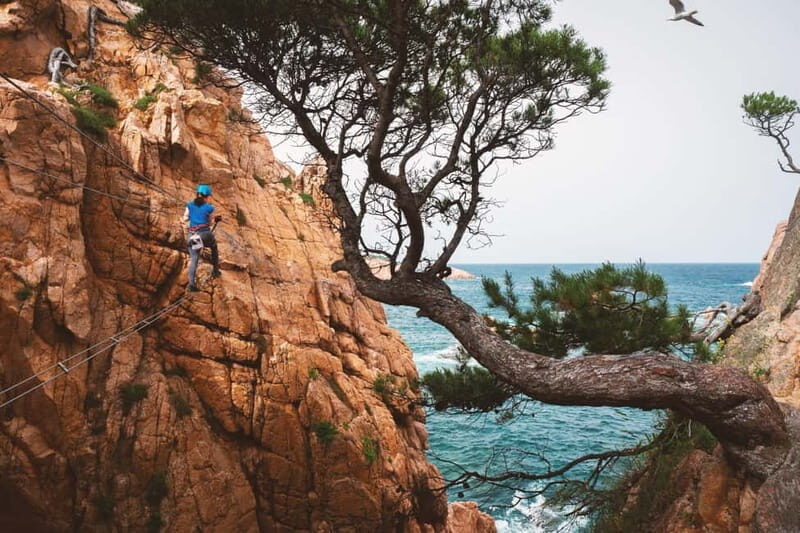 Sant Feliu de Guíxols: Guided tour of the Cala del Molí Via Ferrata - Why This Tour Is a Great Choice