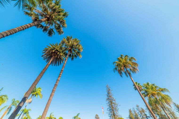 santa-barbara-3-hour-cocktail-and-history-walking-tour