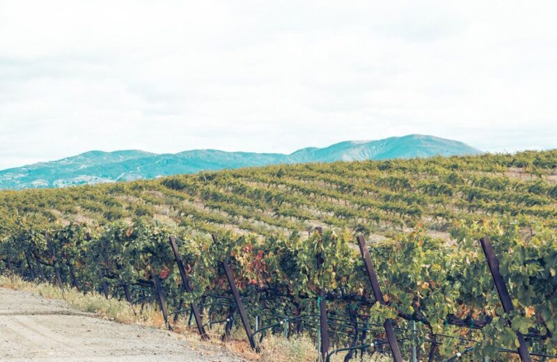 Santa Barbara: 3-Winery Tour Includes Tastings & Lunch inSYV - Who Should Consider This Tour?