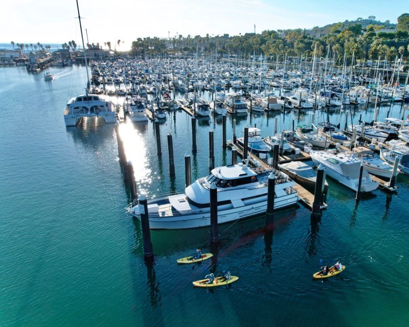 Santa Barbara Harbor: Wildlife Kayak Tour (2 Hours) - An In-Depth Look at the Santa Barbara Wildlife Kayak Tour