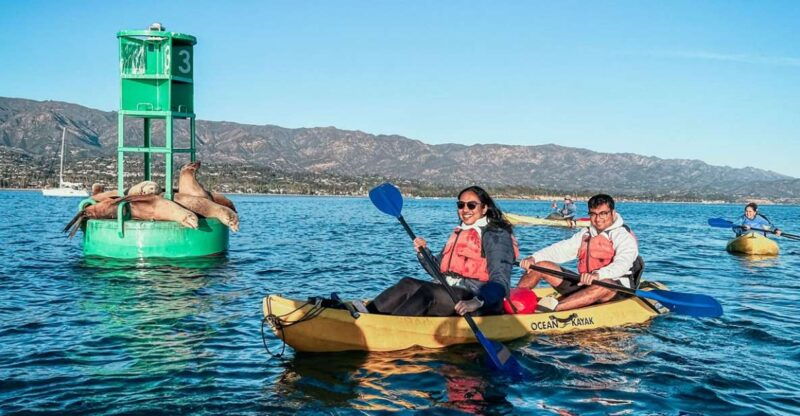 santa-barbara-harbor-wildlife-kayak-tour-2-hours