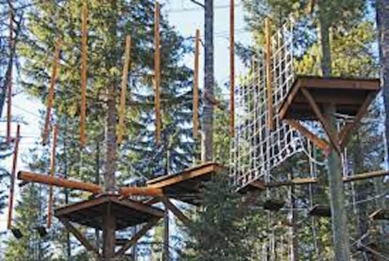 Santa Barbara: High Ropes Adventure Course - What Reviewers Have Said