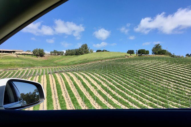 Santa Barbara Small-Group Wine Tour to Private Estates & Wineries - An In-Depth Look at the Tour Experience