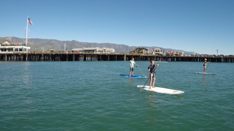 Santa Barbara: Stand-up Paddle Board Rental - Who Would Enjoy This Experience?