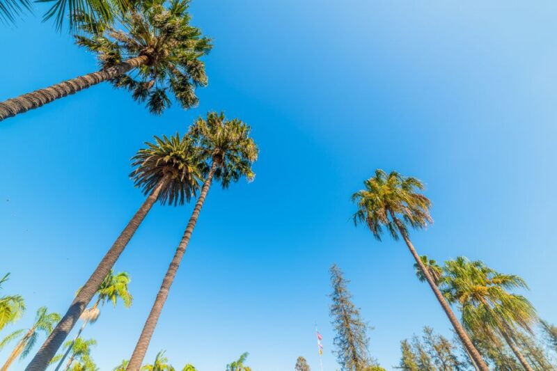 santa-barbara-wine-chocolate-and-history-walking-tour