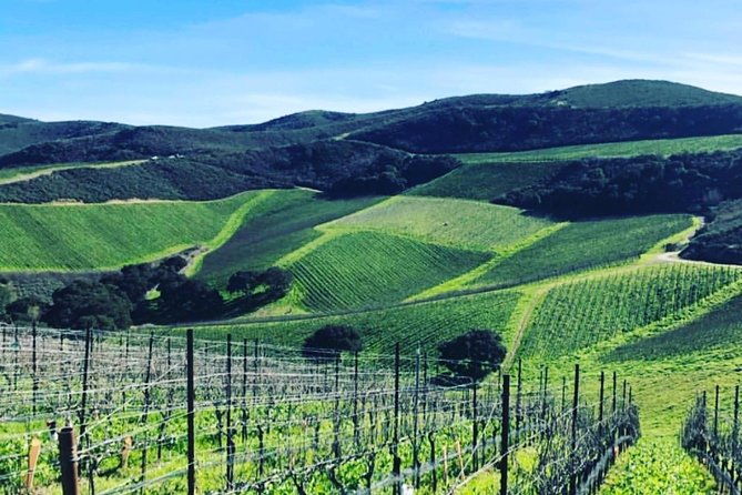santa-barbara-wine-country-tour