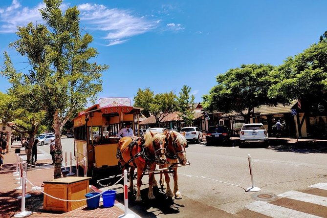 santa-barbara-wine-tasting-day-tour-from-los-angeles-2