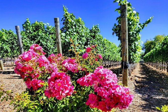 santa-barbara-wine-tasting-day-tour-from-los-angeles