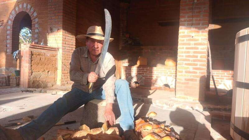 Santa Catarina Minas: Ancestral Mezcal Distillery Tour - Who Is This Tour Best For?