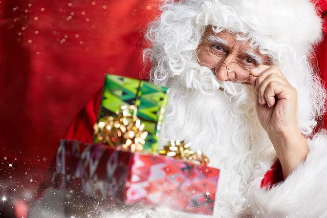 santa-claus-village-guided-tour-arctic-animals-adventure