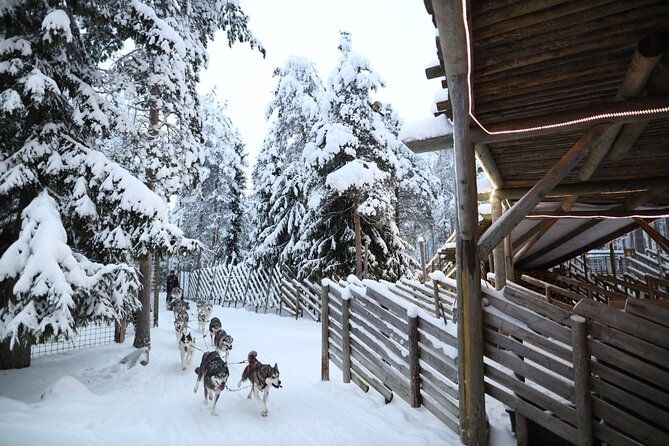 santa-claus-village-husky-and-reindeers-combo-safari