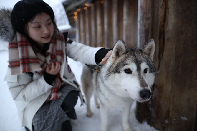santa-claus-village-husky-and-reindeers-combo-safari