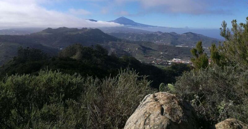 santa-cruz-de-tenerife-2-hour-hiking-tour-in-anaga-forest