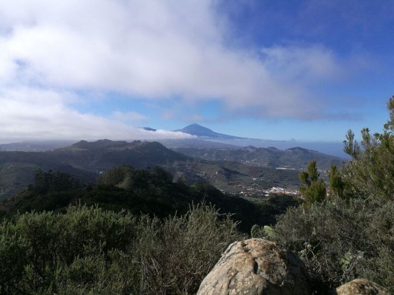 santa-cruz-de-tenerife-2-hour-hiking-tour-in-anaga-forest
