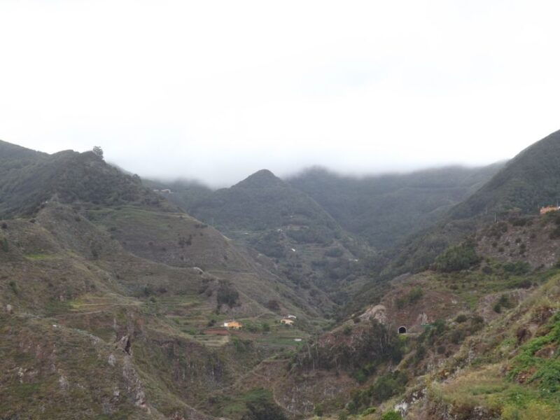 santa-cruz-de-tenerife-2-hour-hiking-tour-in-anaga-forest