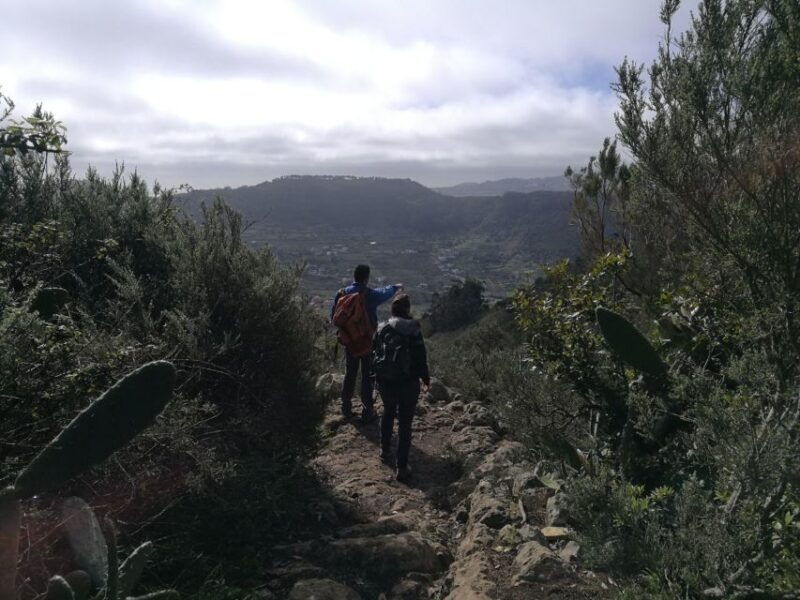 santa-cruz-de-tenerife-2-hour-hiking-tour-in-anaga-forest