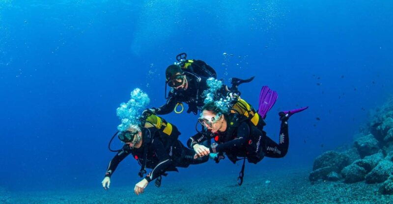 santa-cruz-de-tenerife-advanced-introductory-course
