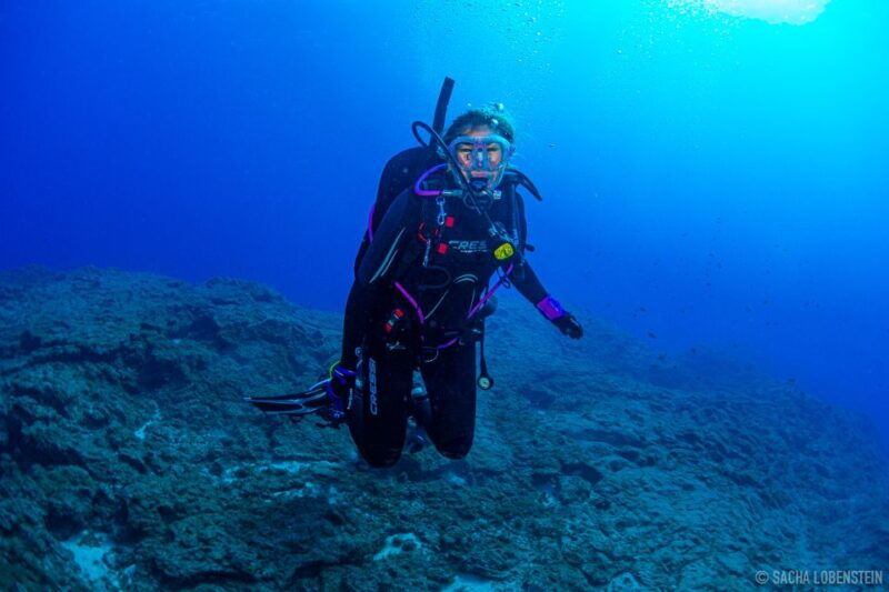santa-cruz-de-tenerife-advanced-introductory-course