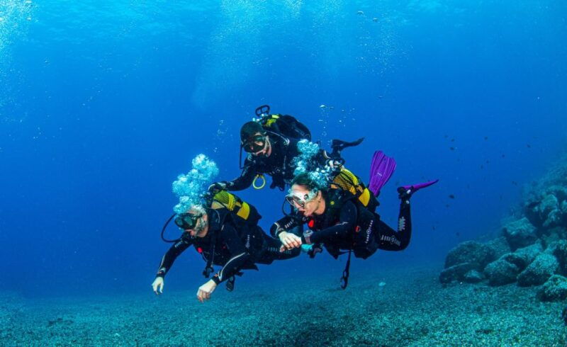 santa-cruz-de-tenerife-advanced-introductory-course