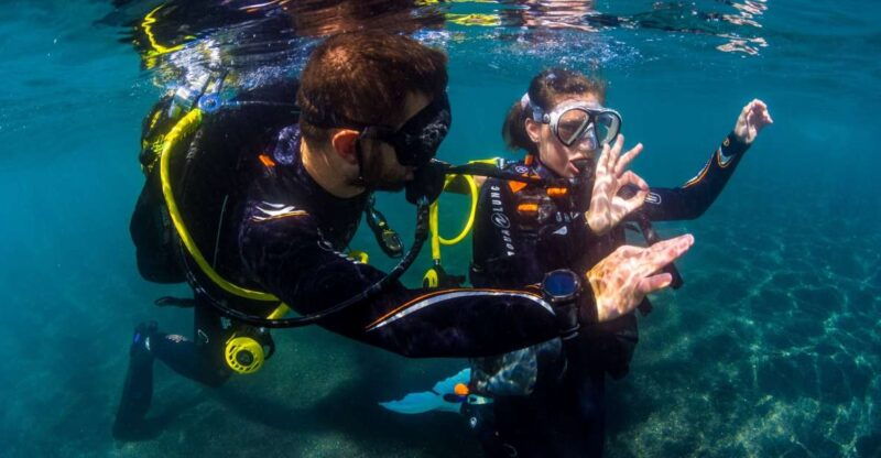 santa-cruz-de-tenerife-beginners-diving-introduction