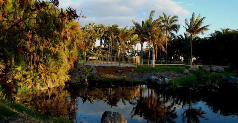 santa-cruz-de-tenerife-palmetum-entry-ticket