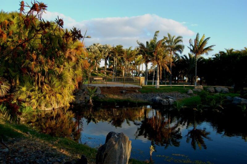 santa-cruz-de-tenerife-palmetum-entry-ticket