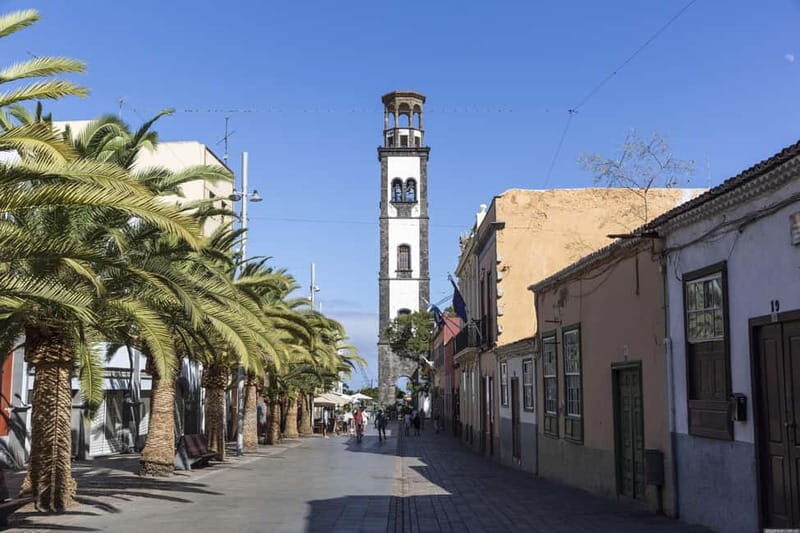 Santa Cruz de Tenerife: walking tour with an expert local guide - Exploring Nuestra Señora de África Market  