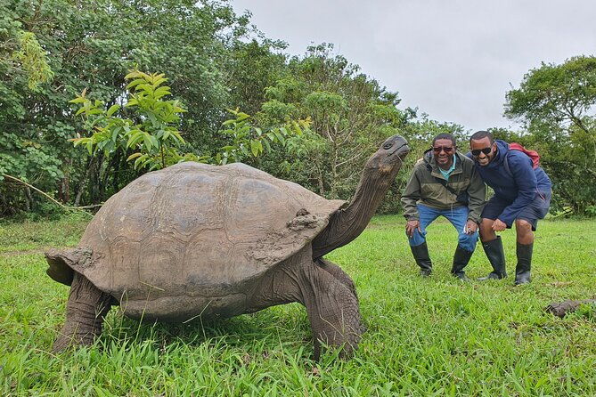 santa-cruz-highland-tour-giant-tortoises-lava-tunnel-gemelos
