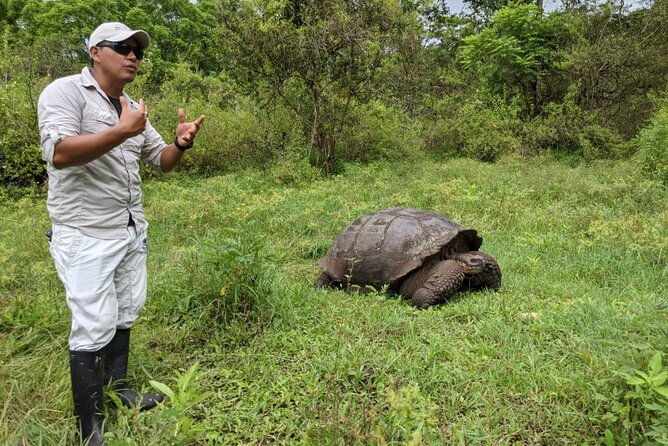 santa-cruz-highland-tour-giant-tortoises-lava-tunnel-gemelos