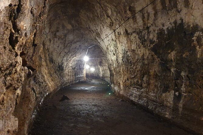 santa-cruz-highland-tour-giant-tortoises-lava-tunnel-gemelos