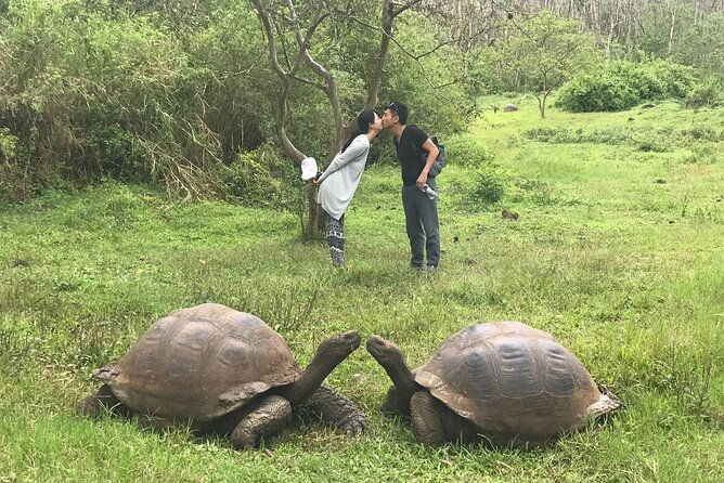 santa-cruz-highland-tour-giant-tortoises-lava-tunnel-gemelos