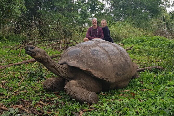 santa-cruz-highland-tour-giant-tortoises-lava-tunnel-gemelos