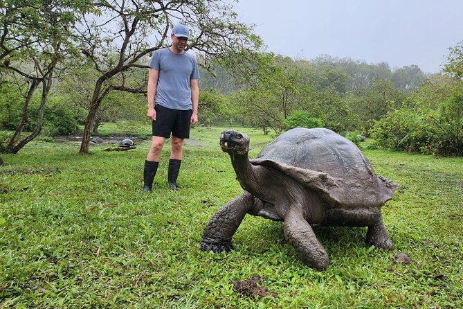 santa-cruz-highland-tour-giant-tortoises-lava-tunnel-gemelos