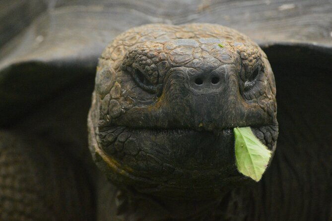 santa-cruz-highlands-private-tour-with-a-licensed-guide