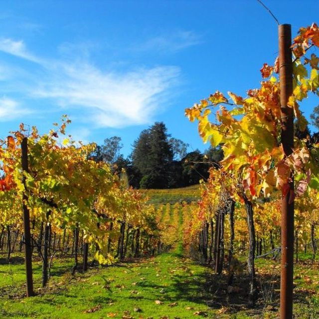 santa-cruz-private-custom-wine-tour-with-hotel-pickup