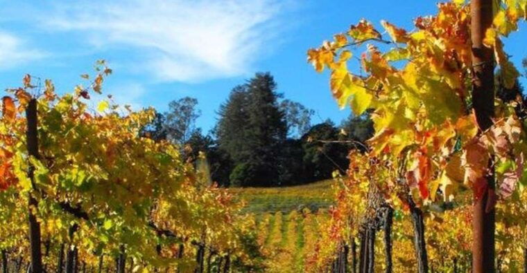 santa-cruz-private-custom-wine-tour-with-hotel-pickup