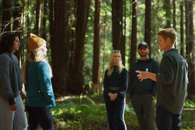 santa-cruz-redwoods-forest-therapy