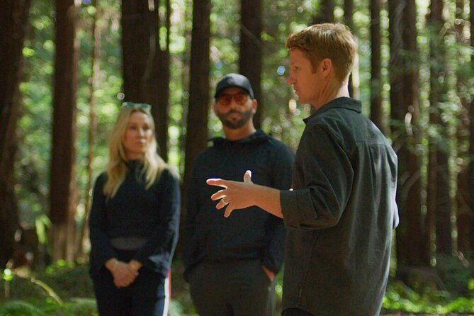 santa-cruz-redwoods-forest-therapy