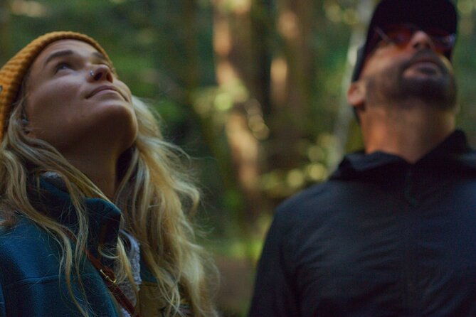 santa-cruz-redwoods-forest-therapy