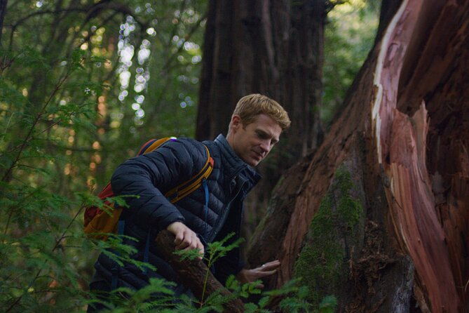 santa-cruz-redwoods-forest-therapy