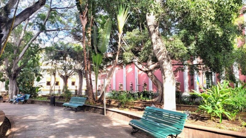 santa-cruz-self-guided-old-town-walk-sights-and-specials