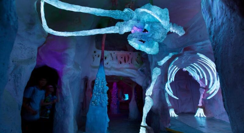 Santa Fe: Meow Wolf The House of Eternal Return Ticket - Introduction