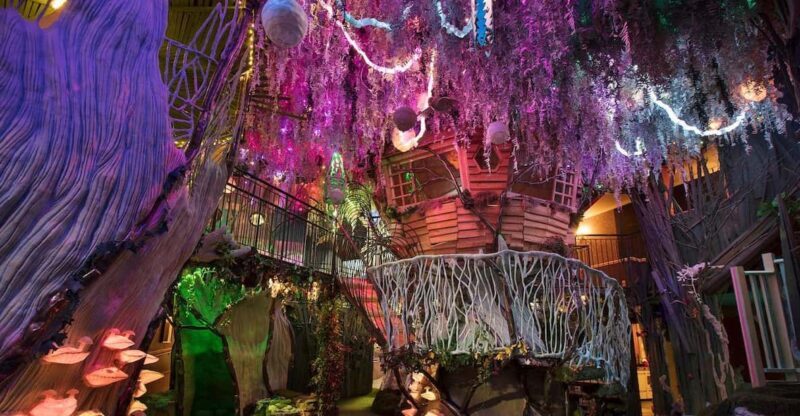 Santa Fe: Meow Wolf The House of Eternal Return Ticket - The Sum Up
