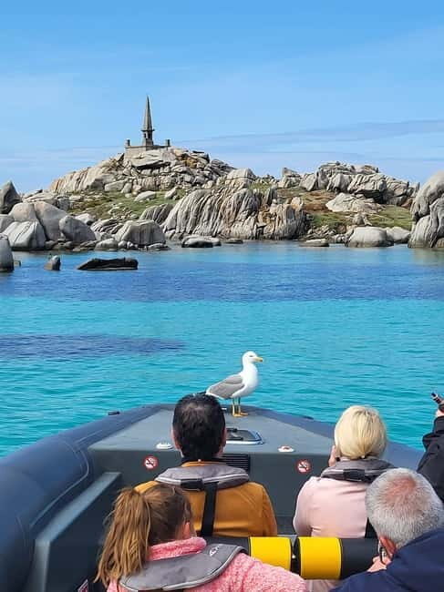 Santa Giulia: Day at sea discovering the extreme south - Authentic Experiences & Real Traveler Insights