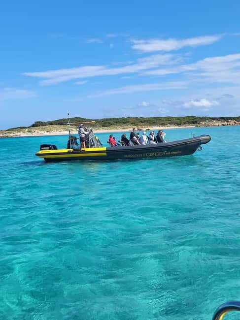 Santa-Giulia: Half-day trip, Lavezzi Islands and Bonifacio cliffs - Introduction